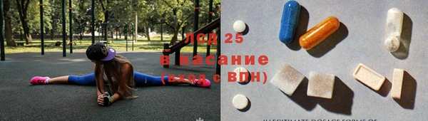 стафф Арсеньев