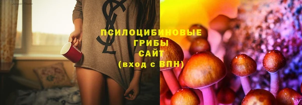 бошки Армянск