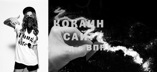 гашик Аркадак