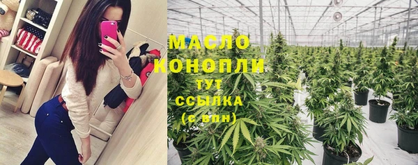 гашик Аркадак