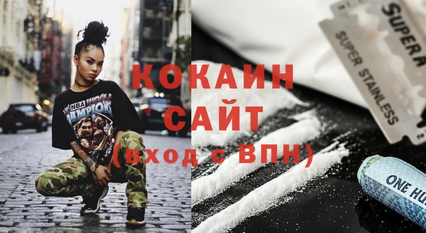 гашик Аркадак