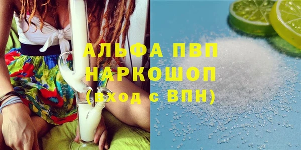 гашик Аркадак