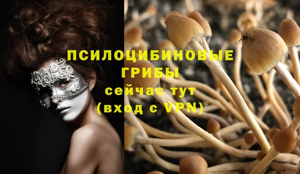 стафф Арсеньев