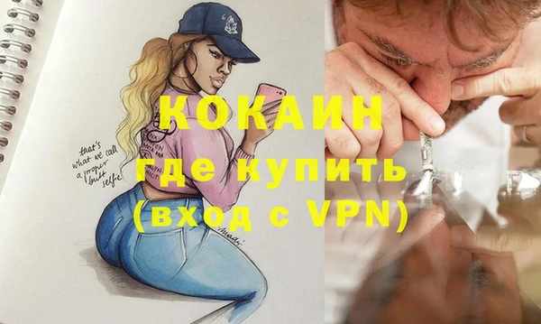 стафф Арсеньев