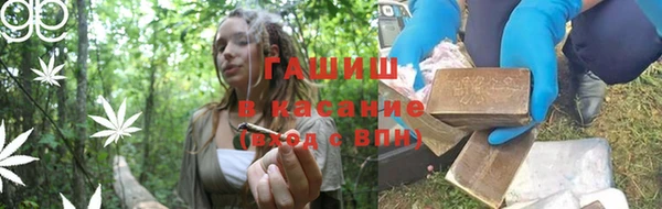 гашик Аркадак