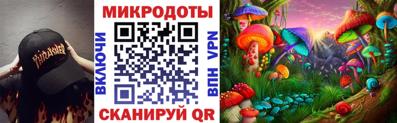 наркота  Ленинск-Кузнецкий  Псилоцибиновые грибы Psilocybe 